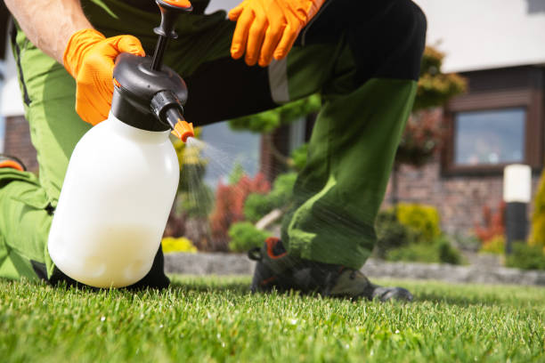 Best Best Pest Control Companies  in Garwood, NJ