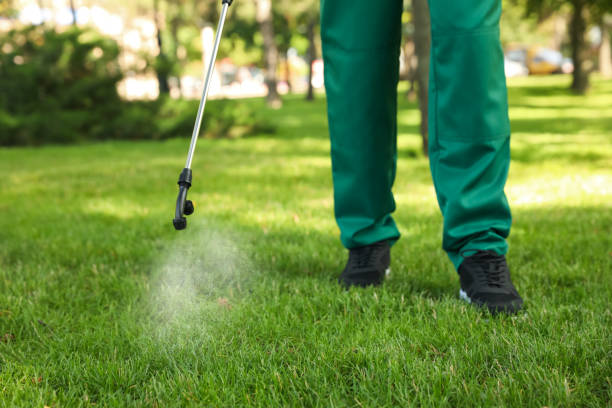 Best Local Pest Control Services  in Garwood, NJ