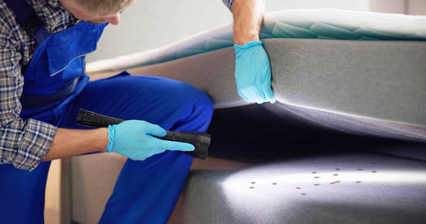 Best Affordable Pest Control Services  in Garwood, NJ