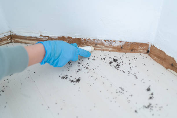 Best Wasp Removal Services  in Garwood, NJ